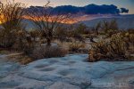 Exploring the Wonders of the High Desert