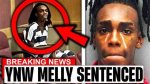 Exploring the Ynw Melly Sentence: a Deep Dive into the Controversial Case