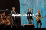 Exploring U2 Similar Bands That Will Captivate Your Musical Soul