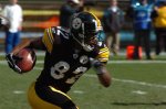Fame | Antwaan Randle El Net Worth and Salary Income Estimation Jan, 2024