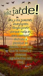 Feliz Tarde Bendiciones: Embracing the Evening Blessings in Everyday Life