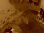 Fidel Lopez Crime Scene Photos the Story Behind Gruesome Murder |