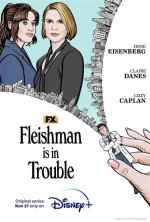 Fleishman Is in Trouble Feels Like Being Inside Lizzy Caplans Head