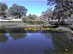Frazier Park, Ca: a Hidden Gem in the Mountains