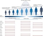 Height, Genetics, and More Revealed