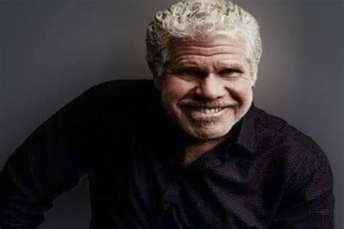 'Hellboy' Ron Perlman Had a Divorce Settlement with Wife Opal Stone| Explore His Relationship Detail |