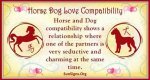 Horse and Dog Compatibility: a Dreamy Connection ·