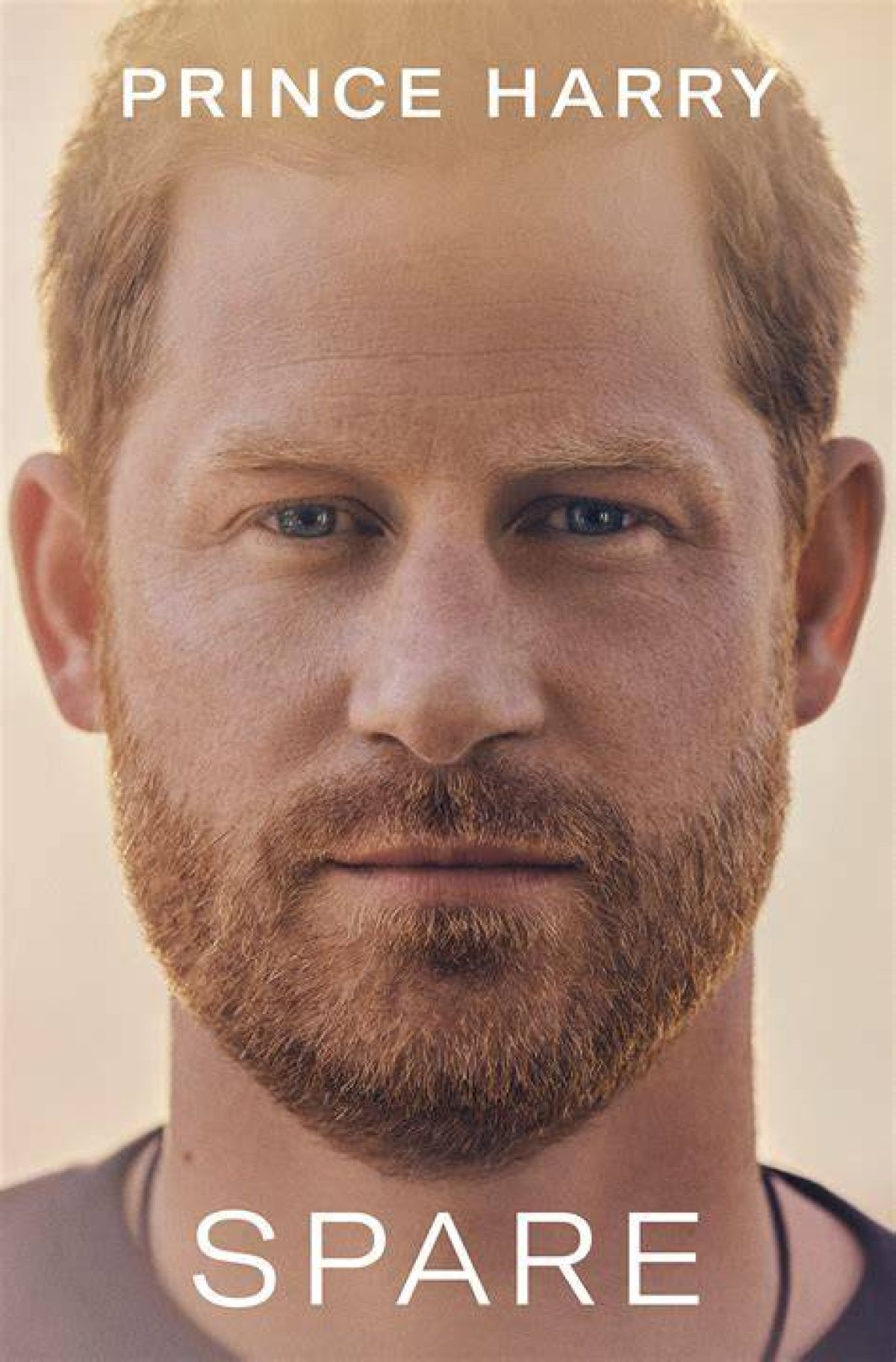 How Much Does the Pop Icon Make?