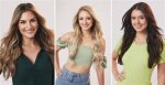 Insights from the "Greer Bachelor" Incident