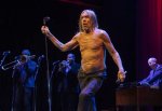 Is Jimmy Pop Related to Iggy Pop? Celebrity. Fm #1 Official Stars, Business & People Network, ·