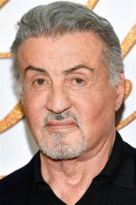 Is Sylvester Stallone in a Wheelchair? Unraveling the Truth