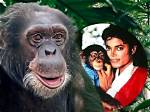 Is Ted Vernon Still Alive? Discoveries and Insights Await
