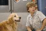 Jason Earl Hannah Montana: the Unsung Hero of the Hit Disney Series