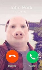John Pork Found Dead? Truth Behind the Viral Tiktok Calling Meme