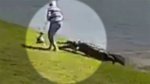 Kid Pushed in Water with Alligator