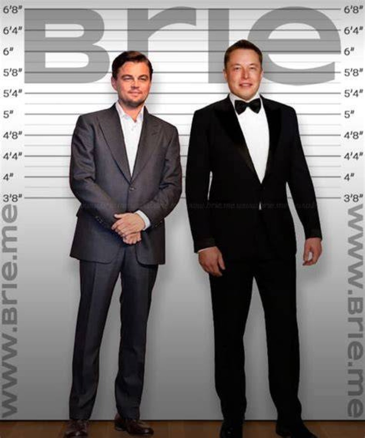 Leonardo Dicaprio Height: Unveiling the Actual Measurement of the Hollywood Icon