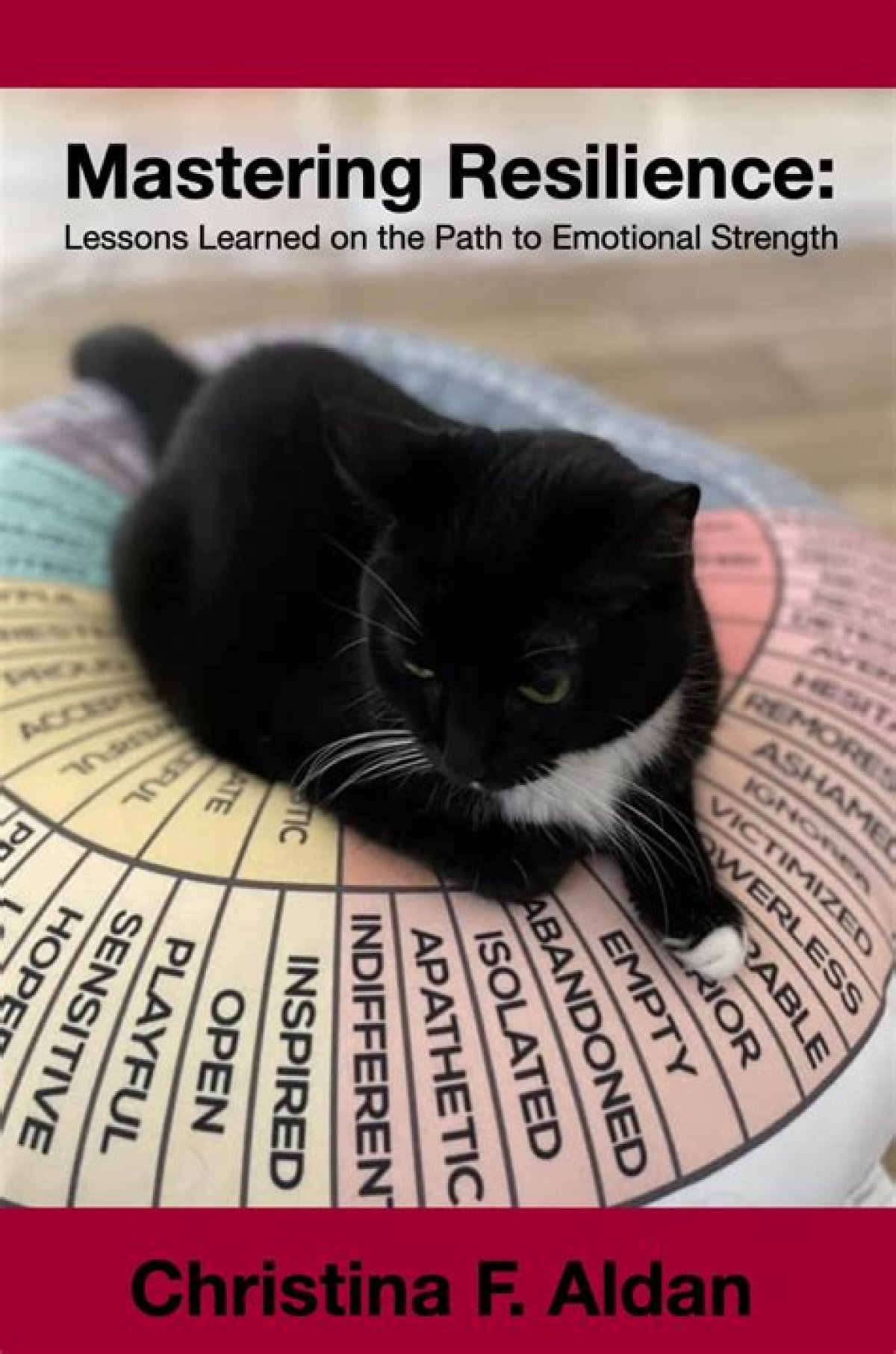 Lessons Learned and Path to Resilience