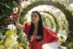 Lily Kwong: a Journey Through Nature and Design