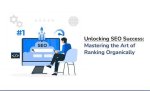 Mastering the Art of Website Ranking: How to Check Your Site's Position in Google