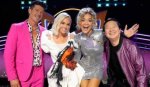 Meet the "Masked Singer Judges 2024"