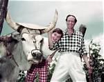 Mel Ferrer: Exploring the Life of a Hollywood Icon and His Spouse