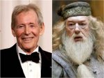 Michael Gambon Replaced Richard Harris as Dumbledore in 'Harry Potter.' Here's Who Else Was up for T