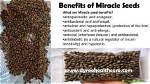 Miracle Seed Benefits: Unlocking Nature's Hidden Treasures