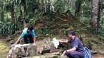 Misteri Kehilangan Lauren Kresse: Penemuan Baru Terungkap