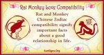 Rat and Monkey Compatibility Gentle Love