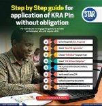 Step-by-Step Guide to Kra Pin Certificate Application and Registration