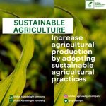Sustainable Agriculture at Its Finest