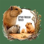 The Dark Truth: Urban Rescue Ranch Animal Abuse Exposed