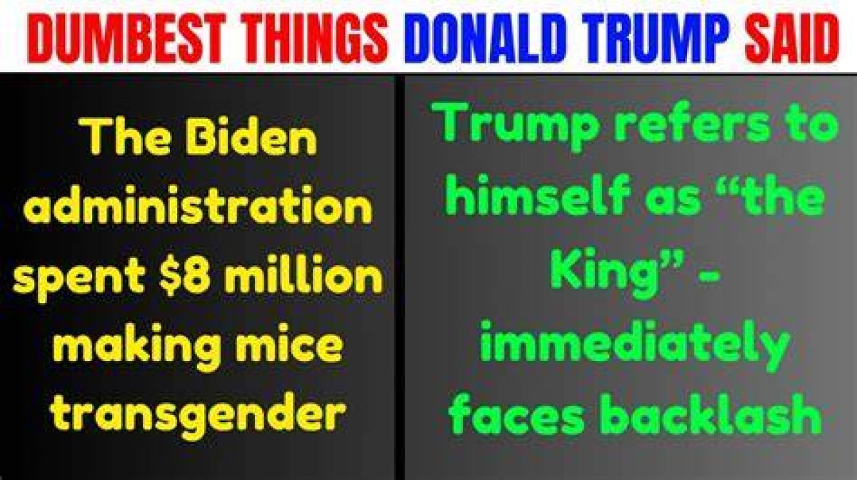 The Dumbest Stuff Donald Trump Has Ever Said