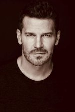 The Enigmatic Journey of Bo Boreanaz
