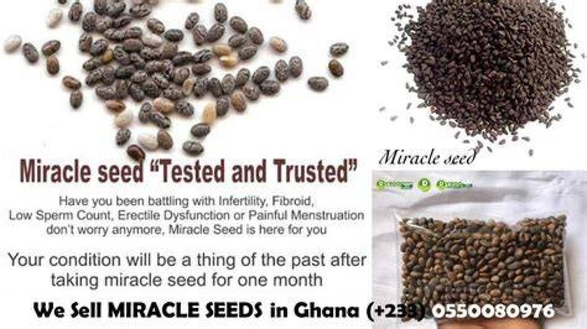 The Incredible Benefits of Miracle Seed: Unveiling Nature’s Gift