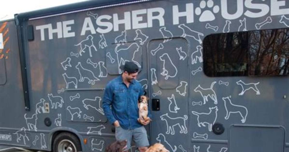 The Inspiring Journey of Asher House: a Sanctuary for Rescued Animals