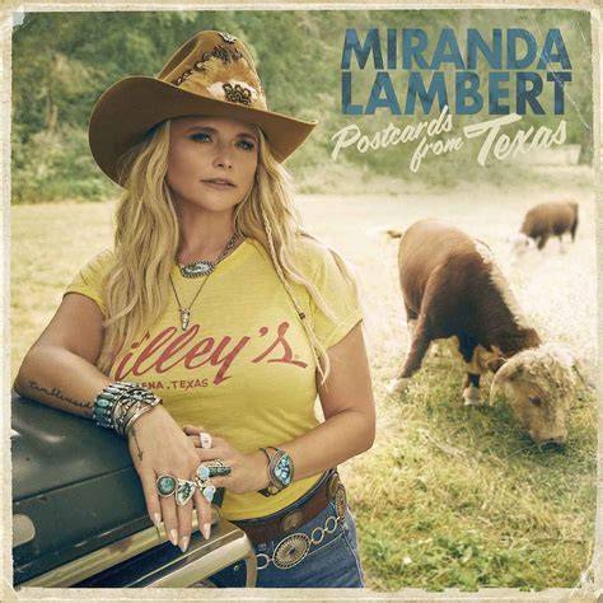 The Inspiring Journey of Miranda Lambert's Husband: a Tale of Love and Devotion