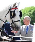 The Majestic Legacy of King Charles' Horse at Royal Ascot: an Unforgettable Journey