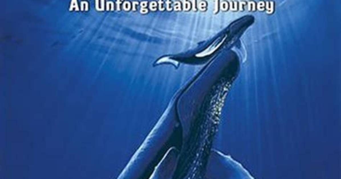 The Unforgettable Journey of Theaishahofey