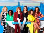 The View Cast: a Comprehensive Look at the Stars of Daytime Television