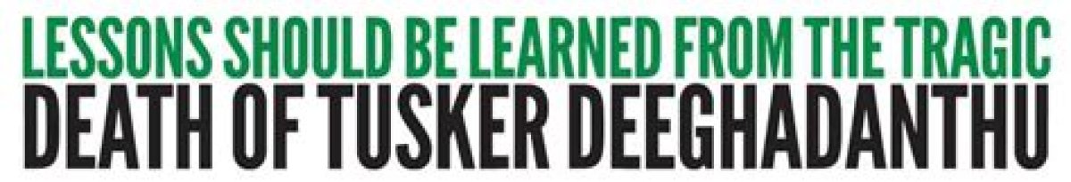 Tragic Death and Lessons Learned**