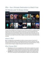 Ultimate Sflix Experience: Stream Movies to Your Heart's Content