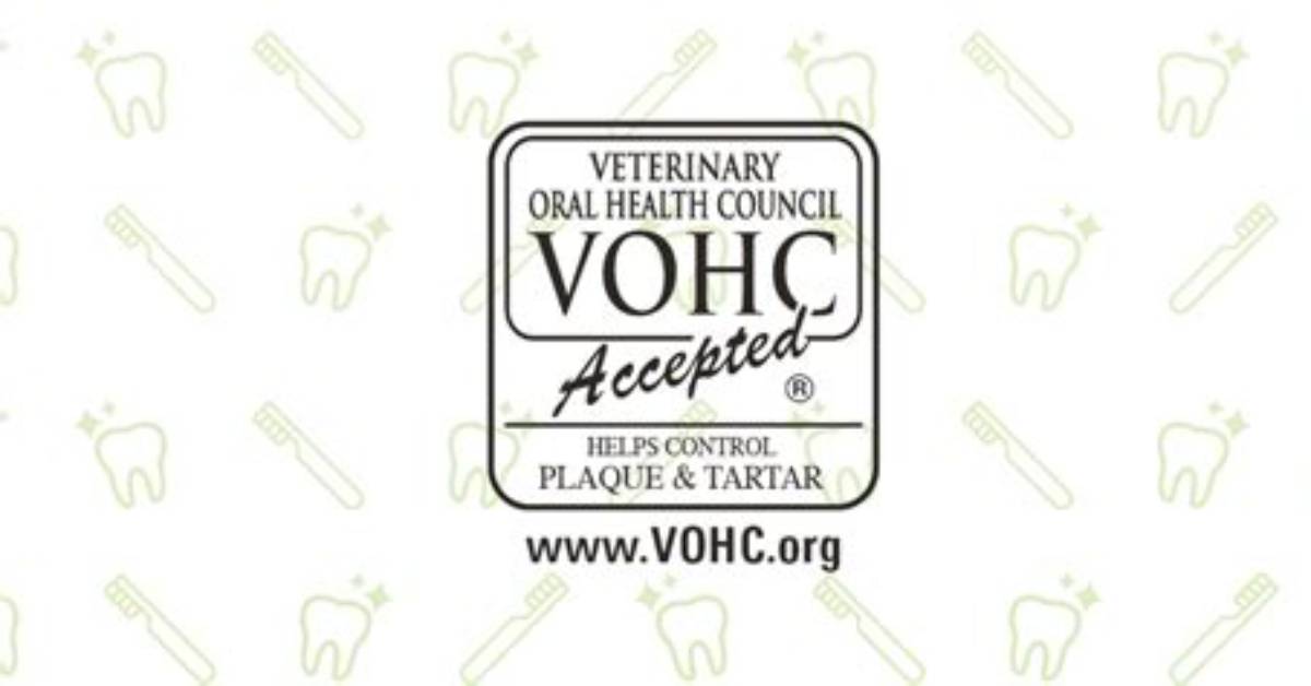 Uncover the Power of Vohc Org: Empowering Hispanic Consumers