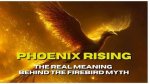 Uncover the Secrets of Phoenix Rae'i Partner: Discoveries and Insights Await