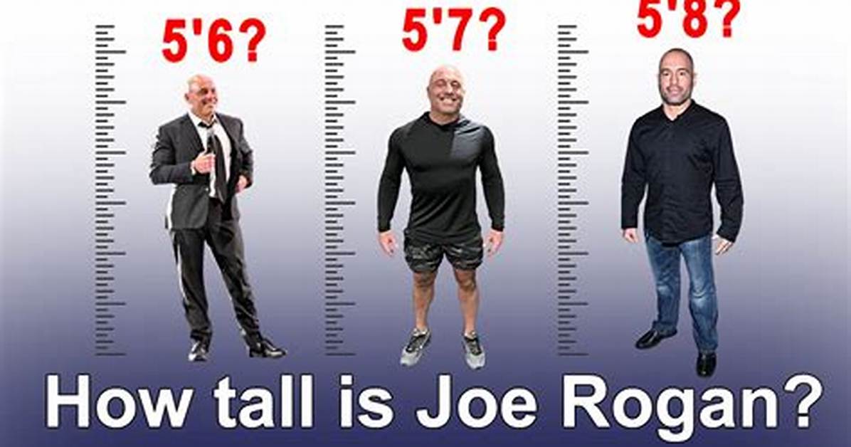 Uncovering the Riches of Joe Rogan: a Fortune Unparalleled