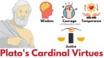 Understanding Clay Virtue: the Art of Character Building