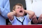 Understanding Prince Louis Autism: a Compassionate Insight