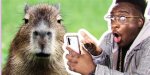 Understanding the Capybara Meme Phenomenon: a Deep Dive