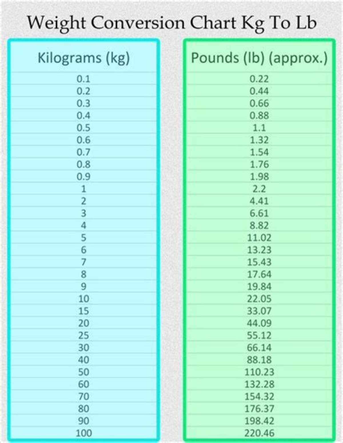 Understanding the Conversion: 1.2 Kg to Lbs