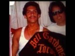 Understanding the Dynamics of Bell Gardens Gangs